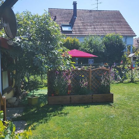 Gite Alsace Appenwihr Buitenkant foto