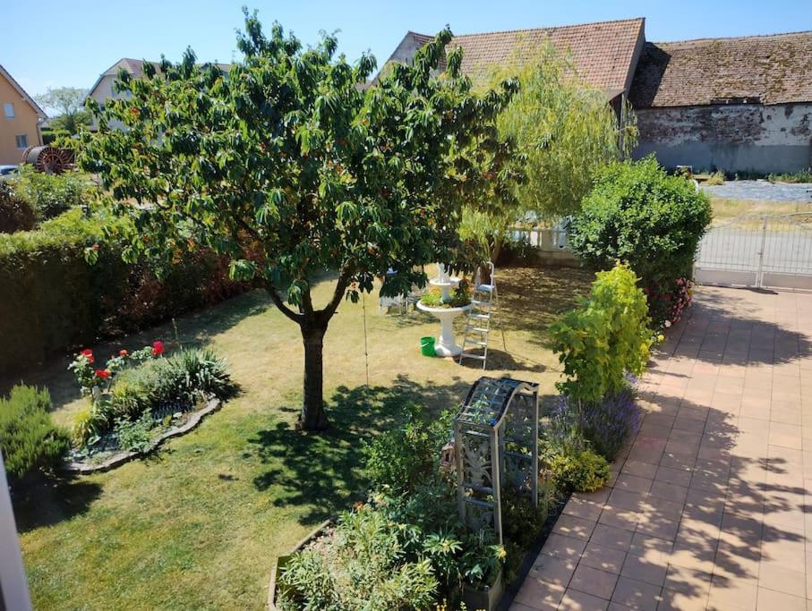 Gite Alsace Appenwihr Buitenkant foto